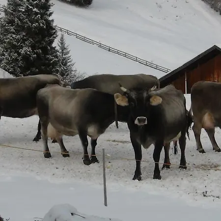 Ferienwohnung Berghof Pixner Wenns