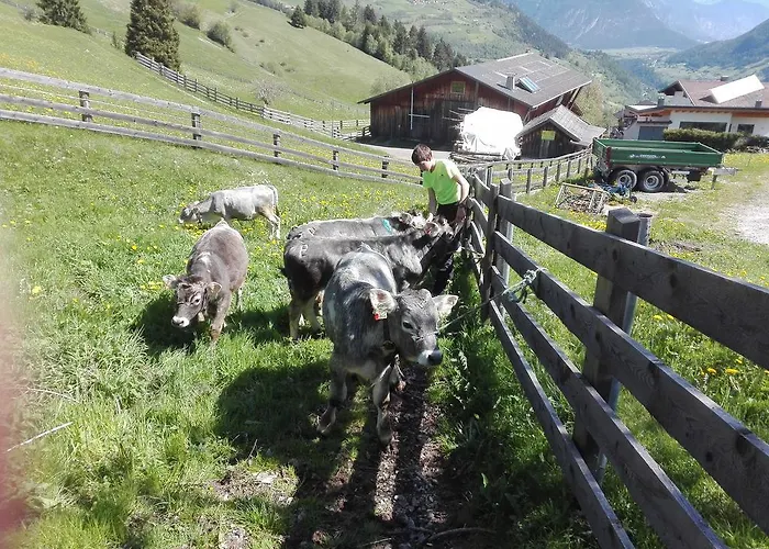 Farma Berghof Pixner *